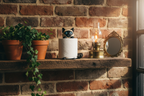 siamese-cat-toilet-paper-holder-black-rustic-lifestyle-magmoria.png